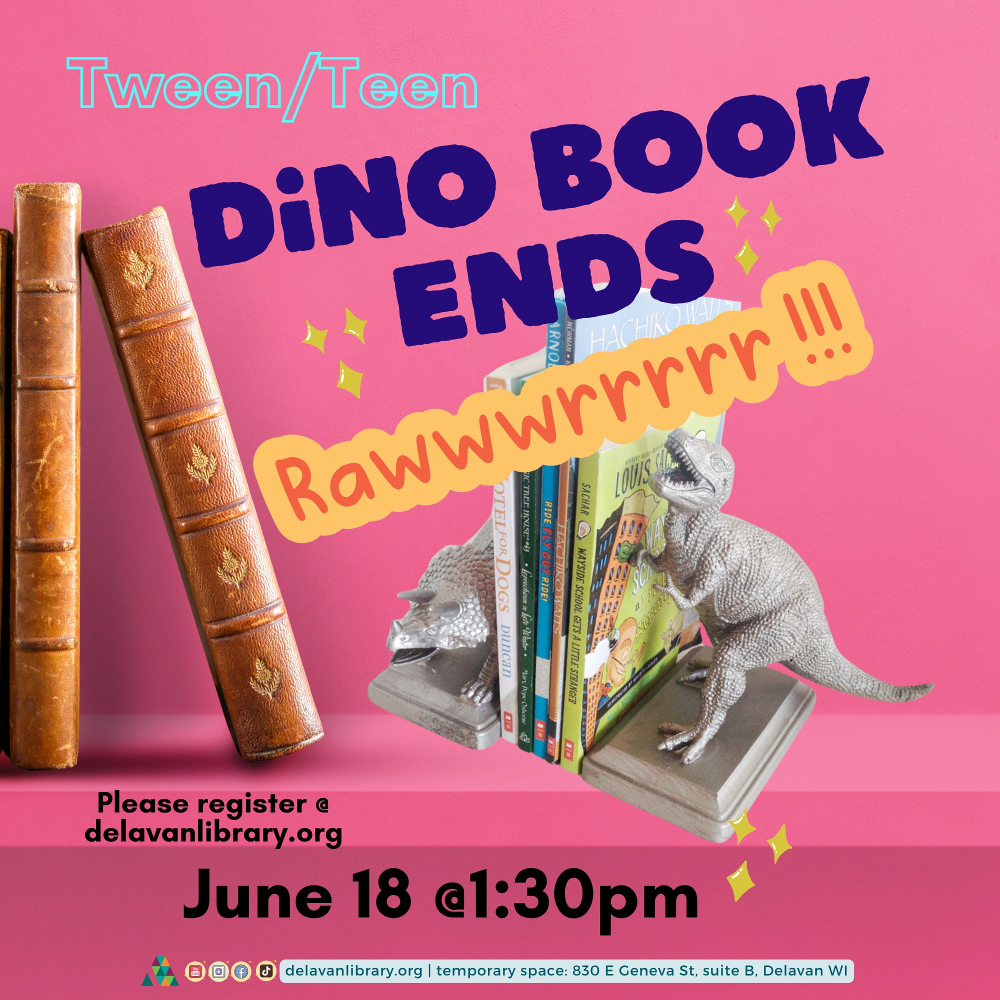 Tween/Teen Dino Book Ends!