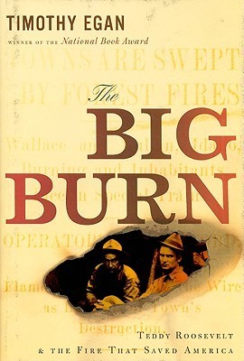 Cover of 