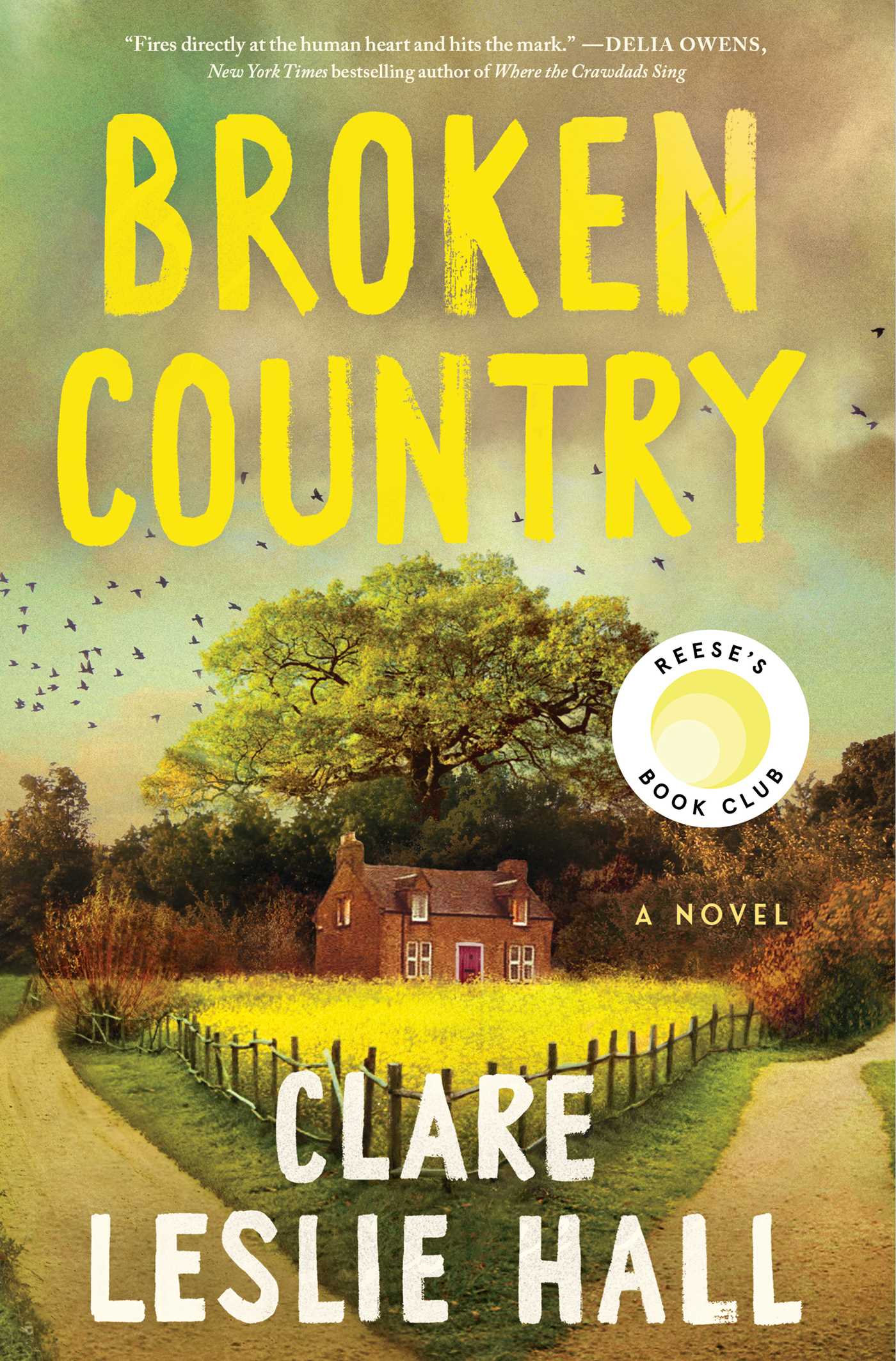Cover of "Broken Country" by Clare Leslie Hall.
