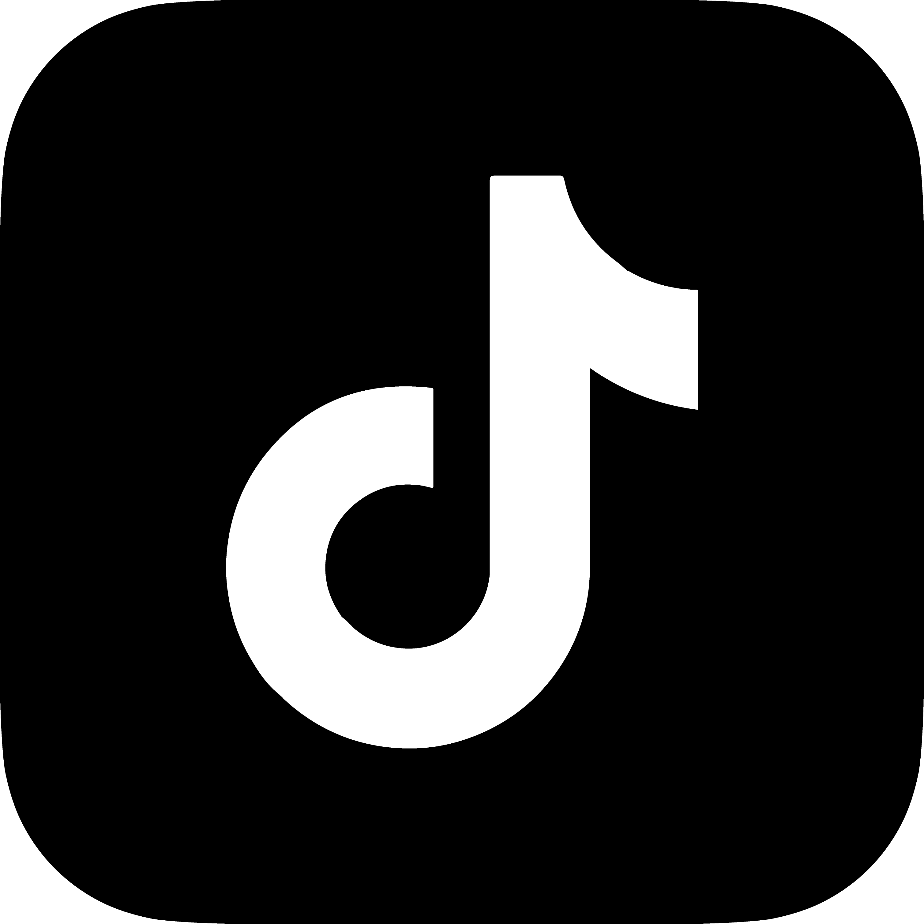 tiktok social icon